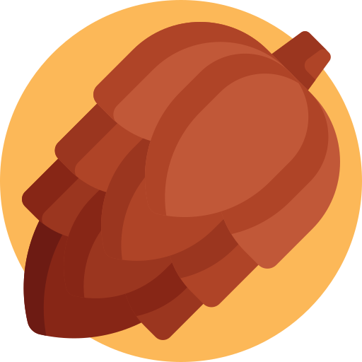 Pine cone
